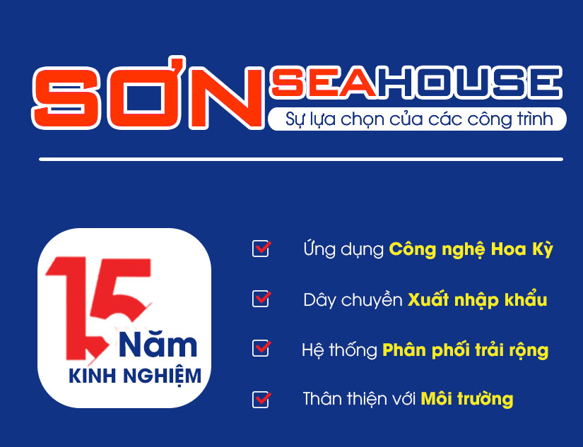 CÔNG TY CỔ PHẦN ĐẦU TƯ CÔNG NGHỆ SƠN APEX VIỆT NAM