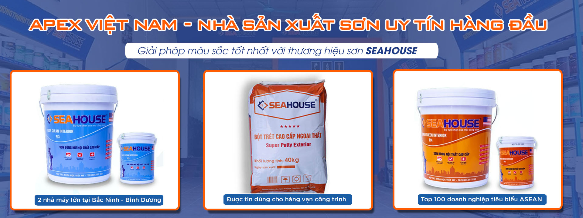 CÔNG TY CỔ PHẦN ĐẦU TƯ CÔNG NGHỆ SƠN APEX VIỆT NAM